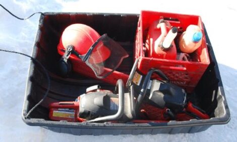 Saturday …. In the Woods Image